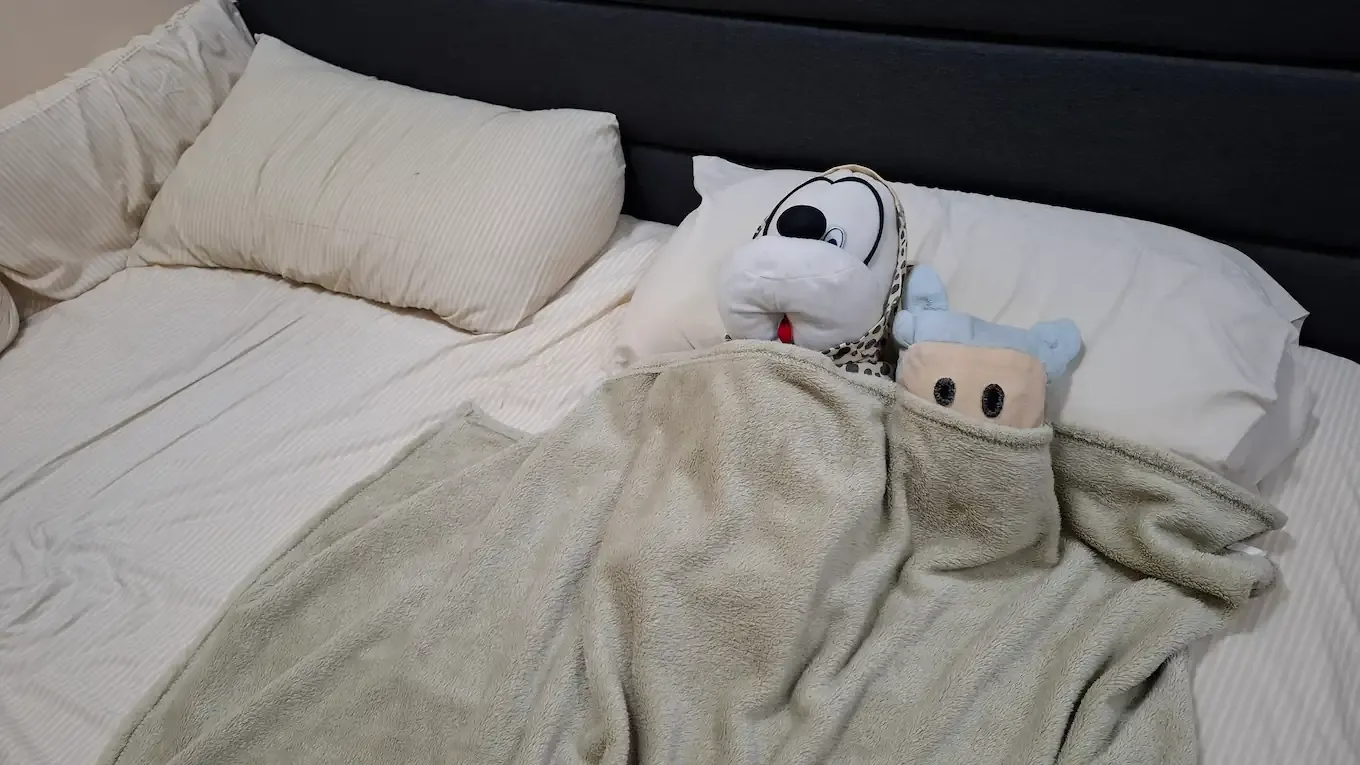 Picture of the Bedroom