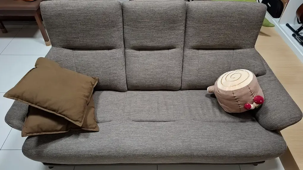 Picture of the Sofa