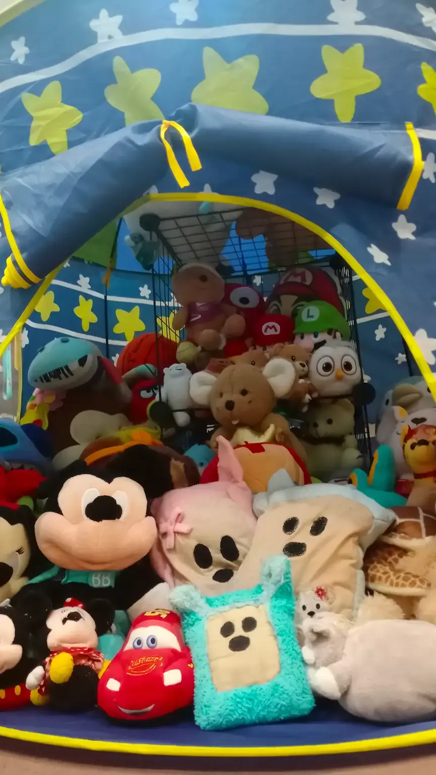 Picture of the Plushie Kingdom castle in Penang